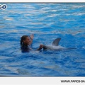 Marineland - Dauphins - Spectacle - 17h45 - 1044