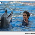 Marineland - Dauphins - Spectacle - 17h45 - 1045