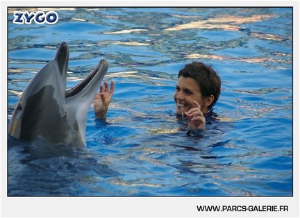 Marineland - Dauphins - Spectacle - 17h45 - 1046