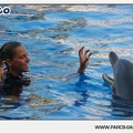 Marineland - Dauphins - Spectacle - 17h45 - 1047