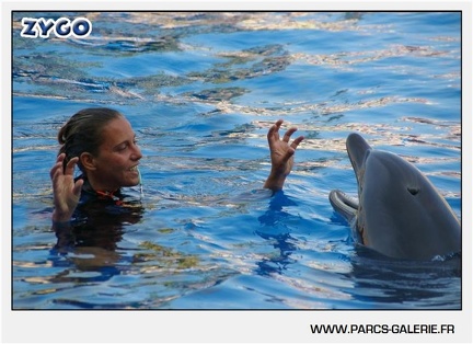 Marineland - Dauphins - Spectacle - 17h45 - 1047