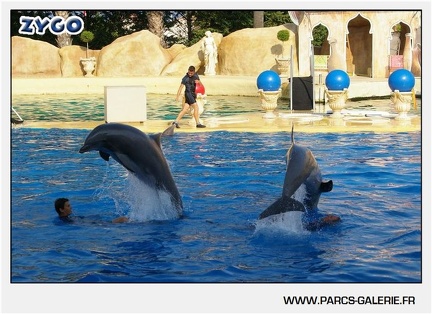Marineland - Dauphins - Spectacle - 17h45 - 1049