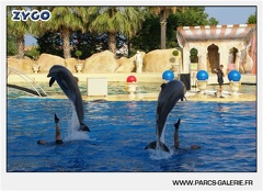 Marineland - Dauphins - Spectacle - 17h45 - 1050