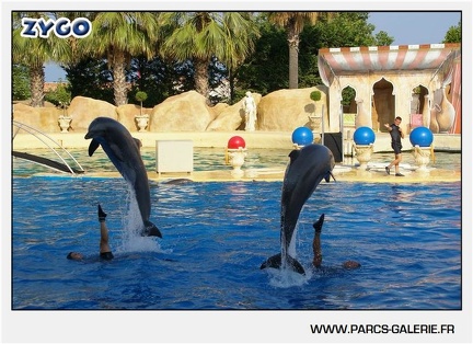 Marineland - Dauphins - Spectacle - 17h45 - 1050