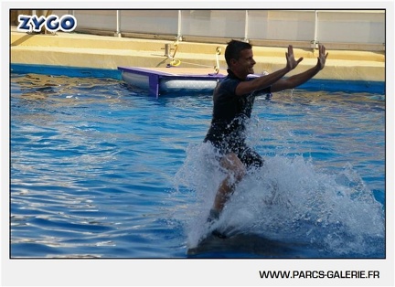 Marineland - Dauphins - Spectacle - 17h45 - 1051