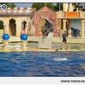 Marineland - Dauphins - Spectacle - 17h45 - 1052