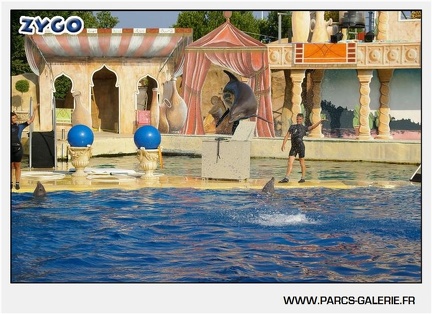 Marineland - Dauphins - Spectacle - 17h45 - 1052