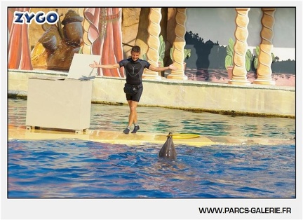 Marineland - Dauphins - Spectacle - 17h45 - 1053