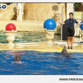 Marineland - Dauphins - Spectacle - 17h45 - 1054