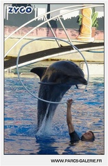 Marineland - Dauphins - Spectacle - 17h45 - 1055