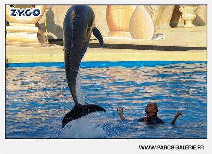 Marineland - Dauphins - Spectacle - 17h45 - 1056