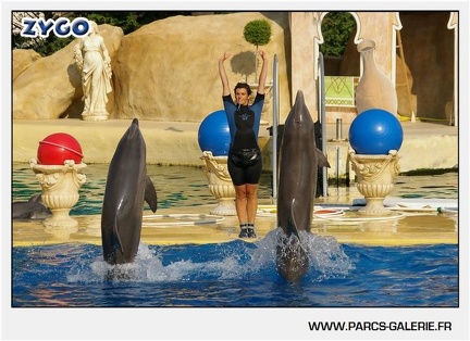 Marineland - Dauphins - Spectacle - 17h45 - 1057