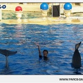 Marineland - Dauphins - Spectacle - 17h45 - 1059