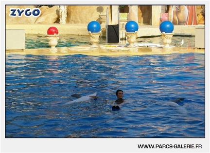 Marineland - Dauphins - Spectacle - 17h45 - 1060