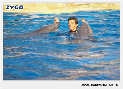 Marineland - Dauphins - Spectacle - 17h45 - 1061