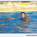 Marineland - Dauphins - Spectacle - 17h45 - 1062