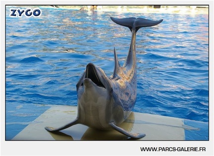 Marineland - Dauphins - Spectacle - 17h45 - 1064