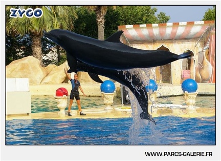 Marineland - Dauphins - Spectacle - 17h45 - 1067