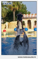Marineland - Dauphins - Spectacle - 17h45 - 1069