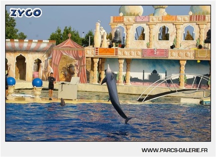 Marineland - Dauphins - Spectacle - 17h45 - 1071