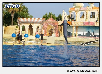 Marineland - Dauphins - Spectacle - 17h45 - 1072