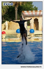 Marineland - Dauphins - Spectacle - 17h45 - 1074