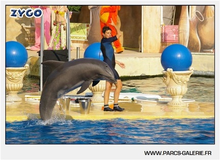 Marineland - Dauphins - Spectacle - 17h45 - 1075