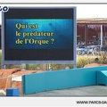 Marineland - Orques - Spectacle - 18h30 - 1134
