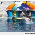 Marineland - Orques - Spectacle - 18h30 - 1147