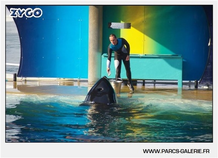 Marineland - Orques - Spectacle - 18h30 - 1148