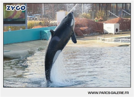 Marineland - Orques - Spectacle - 18h30 - 1150
