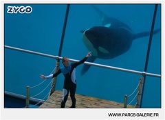 Marineland - Orques - Spectacle - 18h30 - 1153