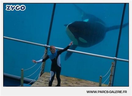 Marineland - Orques - Spectacle - 18h30 - 1153