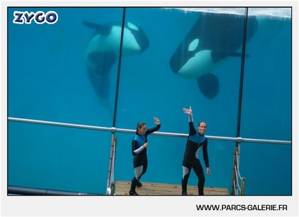 Marineland - Orques - Spectacle - 18h30 - 1156