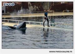 Marineland - Orques - Spectacle - 18h30 - 1157