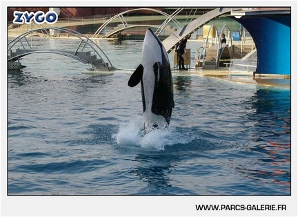 Marineland - Orques - Spectacle - 18h30 - 1158