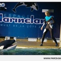 Marineland - Orques - Spectacle - 18h30 - 1159