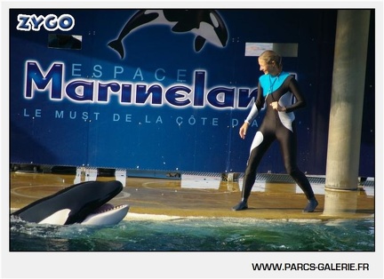 Marineland - Orques - Spectacle - 18h30 - 1159