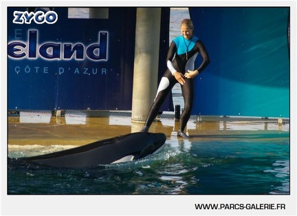 Marineland - Orques - Spectacle - 18h30 - 1160