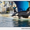Marineland - Orques - Spectacle - 18h30 - 1161