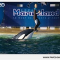 Marineland - Orques - Spectacle - 18h30 - 1163