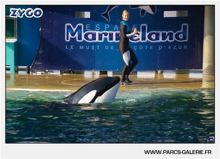 Marineland - Orques - Spectacle - 18h30 - 1163