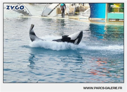 Marineland - Orques - Spectacle - 18h30 - 1164