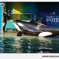 Marineland - Orques - Spectacle - 18h30 - 1168
