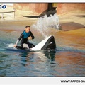 Marineland - Orques - Spectacle - 18h30 - 1171