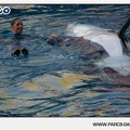 Marineland - Orques - Spectacle - 18h30 - 1173