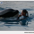 Marineland - Orques - Spectacle - 18h30 - 1174