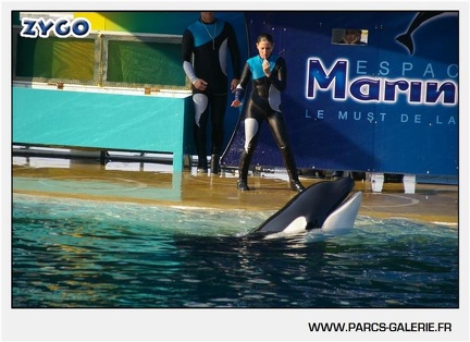 Marineland - Orques - Spectacle - 18h30 - 1178