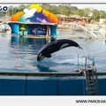 Marineland - Orques - Spectacle - 18h30 - 1181