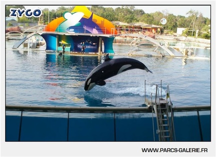 Marineland - Orques - Spectacle - 18h30 - 1181